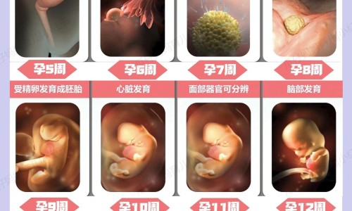 眼睛浑浊发黄怎么办吃什么缓解-眼睛浑浊是胆不好么网 - 网站提供眼睛浑浊看不清怎么回事小常识、眼睛浑浊不清澈有什么办法